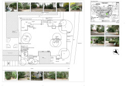 Existing situation of the Green Square, Concord Repatriation General Hospital, Concord West, NSW